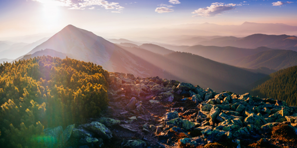 Gangtok to Puri via Bhubaneswar