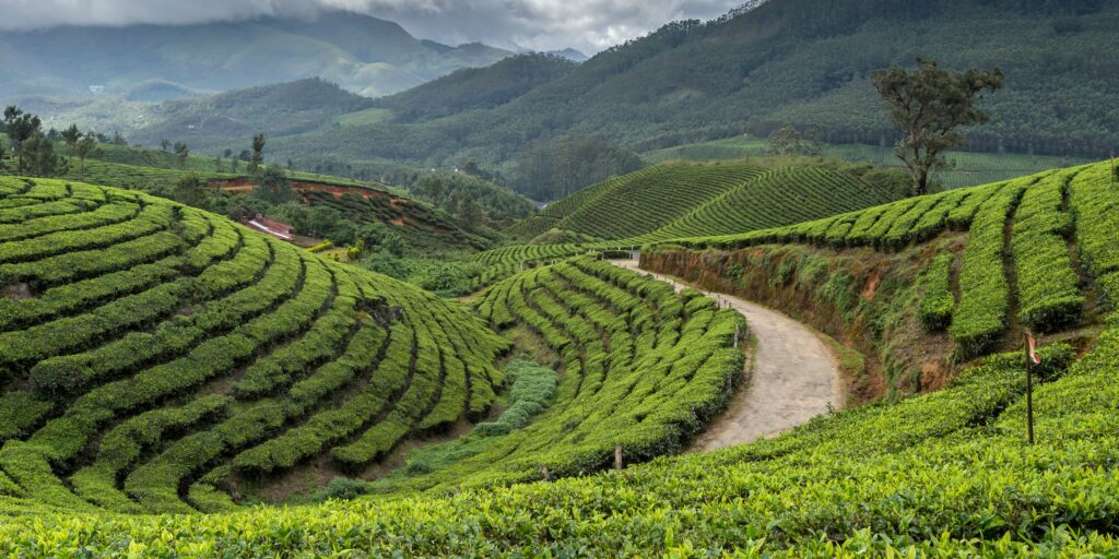 Darjeeling