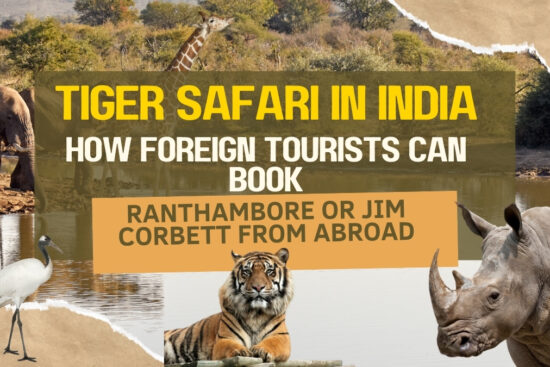 Tiger Safari in India