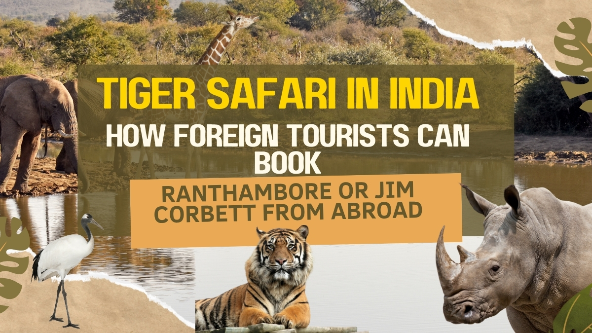 Tiger Safari in India
