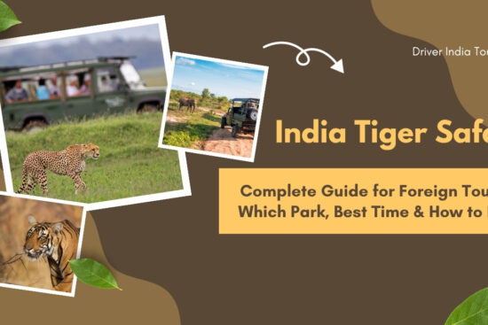 India Tiger Safari foreigners