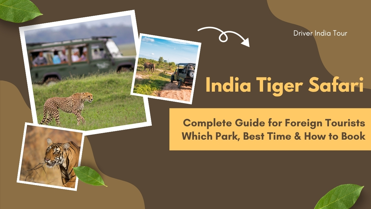 India Tiger Safari foreigners
