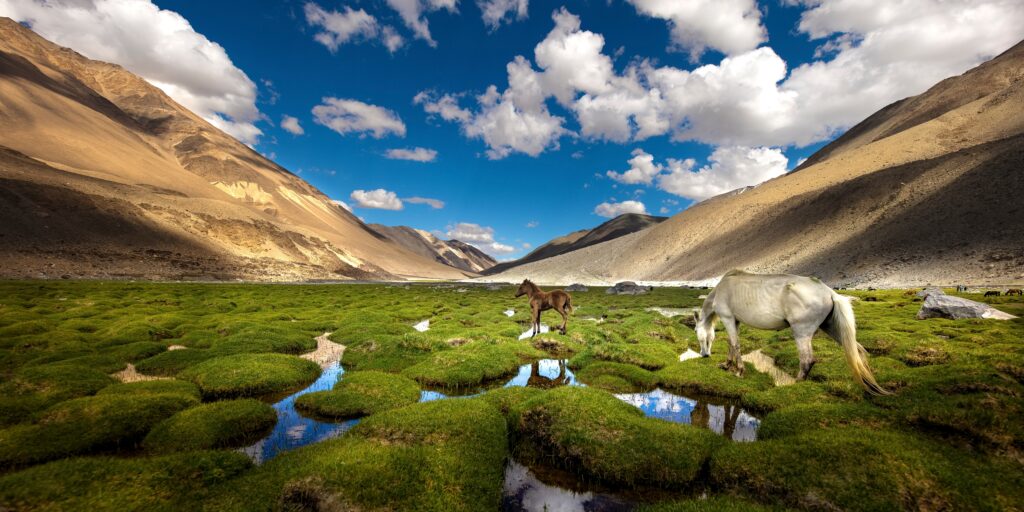 Pangong Tso Lake