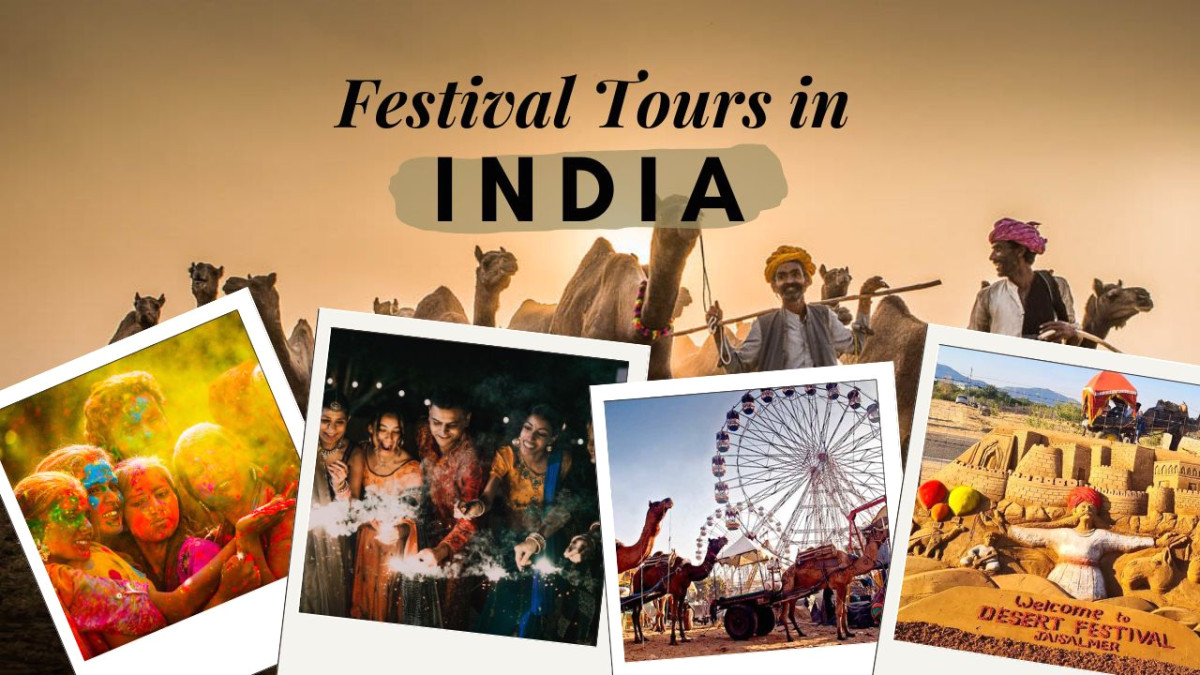 Festival Tour